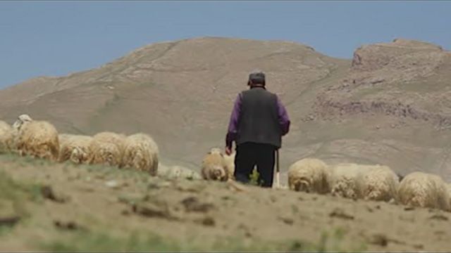 The Lonely Shepherd (Il Pastore Solitario)